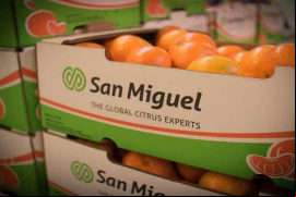 San Miguel produce y exporta cítricos como naranjas, limones, mandarinas y pomelos / San Miguel Global