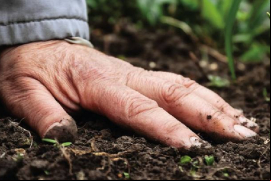 Fertiláqua La compañía está presente en 24 estados de Brasil y cuenta con dos plantas de producción y dos centros de investigación y desarrollo / Tomada de ICL - Facebook