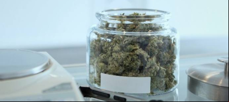 Costa Rica sería uno de los primeros tres países de Latinoamérica en permitir el uso del cannabis con fines recreativos./ Unsplash - Add Weed